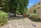 585 Burning Tree Road - Photo 89