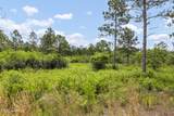 244 Pilchers Branch Road - Photo 6