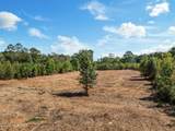 Lot 3 Jolly Ole Field Road - Photo 12