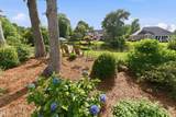 1135 Water Lily Way - Photo 57