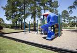1135 Water Lily Way - Photo 70