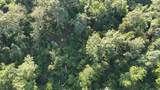 0 Swamp Road - Photo 21
