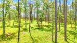 175 River Watch Road - Photo 32