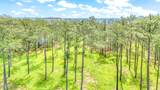 175 River Watch Road - Photo 41