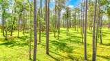 175 River Watch Road - Photo 43