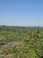 7740383679 Skeen View Road - Photo 3