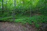 00 Laurel Mountain Road - Photo 3