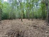 Lot 2 Mobley Road - Photo 4