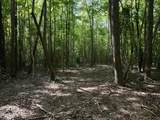 Lot 2 Mobley Road - Photo 6