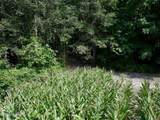 Lot 2 Mobley Road - Photo 8