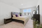 3206 Penguin Circle - Photo 5