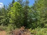 Lot 11 Paradise - Photo 1