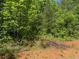 Lot 11 Paradise - Photo 3