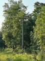 2576 Jessie James Pond Road - Photo 15