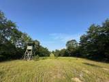 2576 Jessie James Pond Road - Photo 39