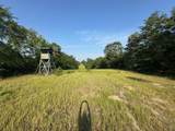 2576 Jessie James Pond Road - Photo 40
