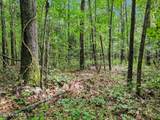 695 Sandy Point Drive - Photo 7