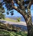 415 Cades Trail - Photo 54