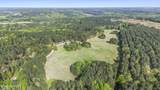 3100 Buckhorn Road - Photo 17