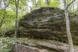 3100 Buckhorn Road - Photo 29
