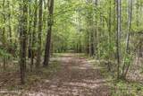 3100 Buckhorn Road - Photo 32