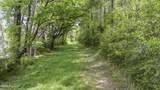 3100 Buckhorn Road - Photo 4