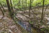 3100 Buckhorn Road - Photo 42