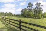3100 Buckhorn Road - Photo 59