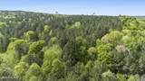 3100 Buckhorn Road - Photo 9