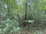 24,25 Camp Creek Estates Drive - Photo 14