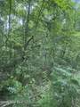 24,25 Camp Creek Estates Drive - Photo 17