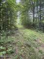 24,25 Camp Creek Estates Drive - Photo 3