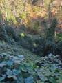 0 Lords Way - Photo 12