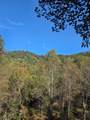 0 Lords Way - Photo 14