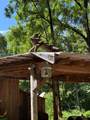 2555 Junaluska Road - Photo 31