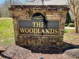 Lot #12E The Woodlands - Photo 3