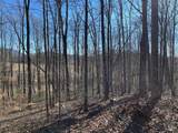 Lot #12E The Woodlands - Photo 4
