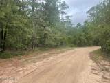 300 Gardenia Lane - Photo 1