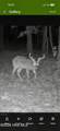 0 Warbonnet Road - Photo 14