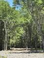 0 Warbonnet Road - Photo 4