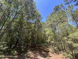 13737 James B White Highway - Photo 21