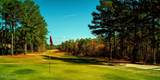 Lot 12 Lakeshore Drive - Photo 12