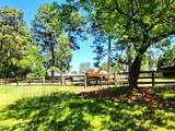 320 Shields Road - Photo 40