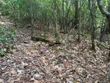 289 Paradise - Photo 4