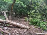 289 Paradise - Photo 5