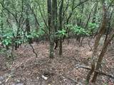 289 Paradise - Photo 6