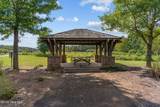 1326 Star Grass Way - Photo 56