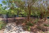1326 Star Grass Way - Photo 58