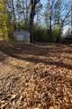 3428 Rushing Road - Photo 5