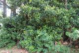 Lot 20 Grant Drive - Photo 2